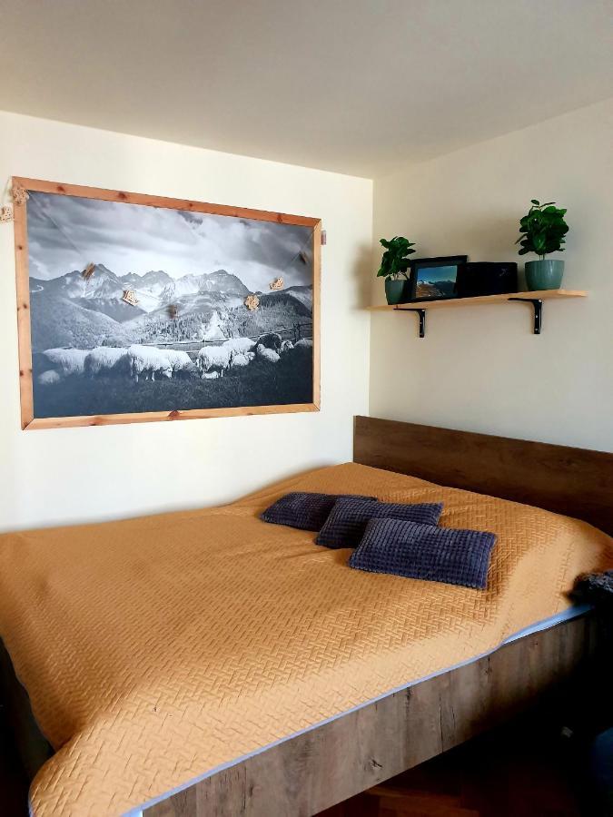 Apartament Izba W Centrum Zakopane Eksteriør billede